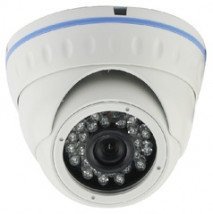 Уличная купольная IP-видеокамера ROKA R-2010