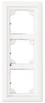 Рамка лицевая Mobotix MX-OPT-Frame-3-EXT-DG