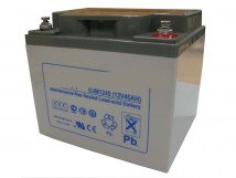 Аккумуляторная батарея Inkel DJM 12-45